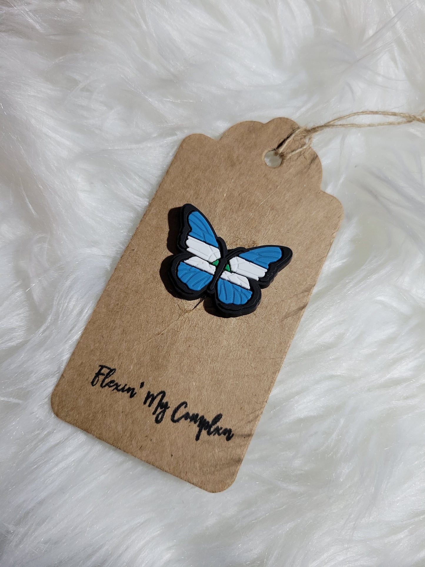 Nicaragua Butterfly