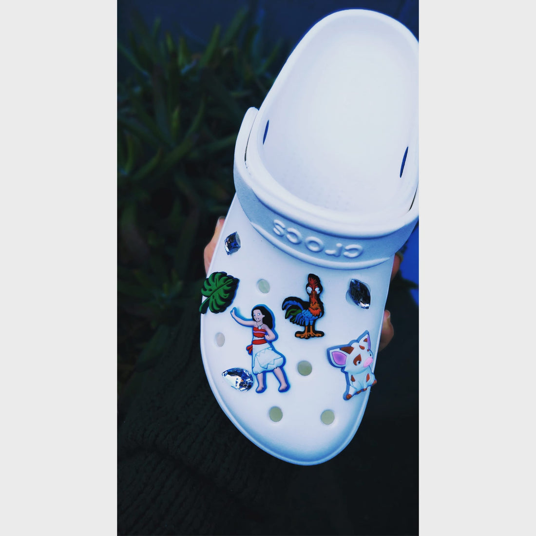 Moana  Inspired Shoe Charms